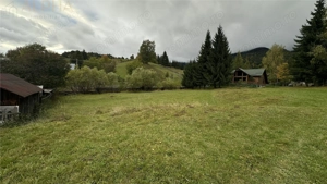 Teren Intravilan de 16.000 mp, Utilitati si Acte in Regula - imagine 2