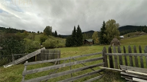 Teren Intravilan de 16.000 mp, Utilitati si Acte in Regula - imagine 5