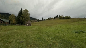 Teren Intravilan de 16.000 mp, Utilitati si Acte in Regula - imagine 3