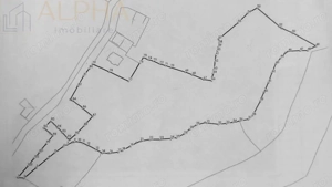 Teren Intravilan de 16.000 mp, Utilitati si Acte in Regula - imagine 6