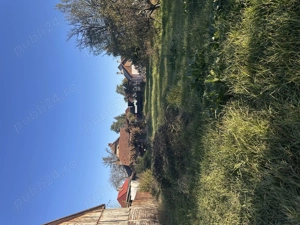 Teren intravilan Sfântu Gheorghe, Covasna  - imagine 3 Teren intravilan Sfântu Gheorghe, Covasna  - imagine 3