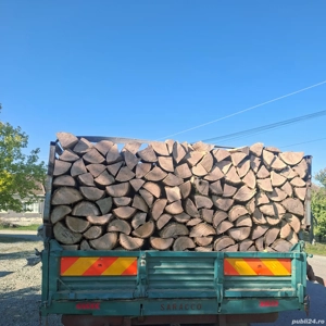 vând lemne de foc esență tare cer,fag,carpen,stejar cantitate garantata  transport gratuit  lemnele 