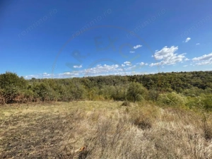 Teren Babana - imagine 7