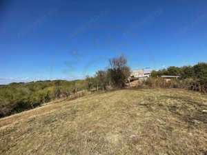 Teren Babana - imagine 6