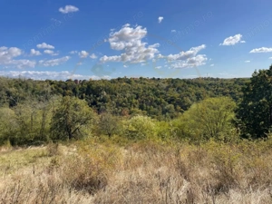 Teren Babana - imagine 8