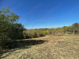 Teren Babana - imagine 2