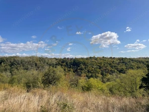 Teren Babana - imagine 3