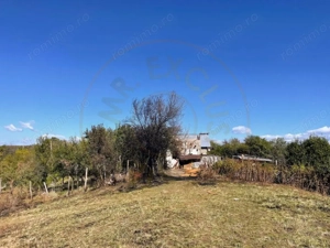 Teren Babana - imagine 4