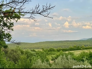 Un loc ascuns la vedere - teren intravilan 1079mp Tropinii Noi