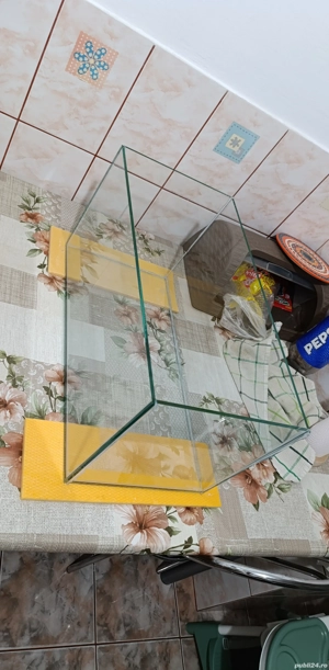 acvariu pesti si plante - imagine 4