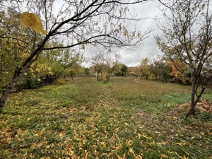 Casă cu teren generos - imagine 4