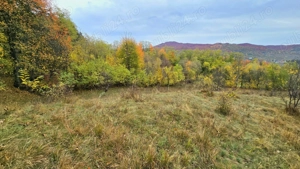 Vand teren la munte, Arges, Corbeni zona Cetatea Poenari Vlad Tepes, Baraj Vidraru - imagine 7