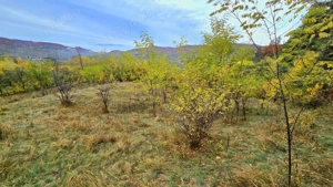 Vand teren la munte, Arges, Corbeni zona Cetatea Poenari Vlad Tepes, Baraj Vidraru - imagine 8