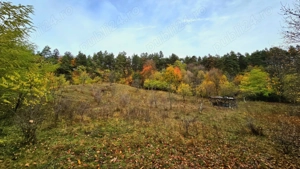 Vand teren la munte, Arges, Corbeni zona Cetatea Poenari Vlad Tepes, Baraj Vidraru - imagine 6