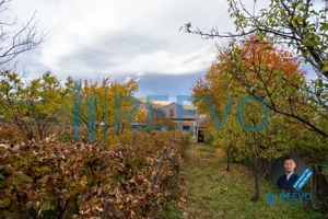 Casa de vânzare, strada Paun Pincio nr. 5, Moinești - imagine 3