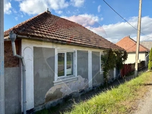 Casă / Vilă cu 2 camere de vânzare - imagine 2