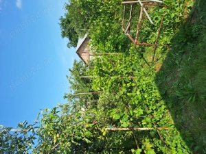 de vanzare casa - imagine 7