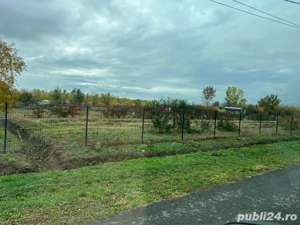 vand casa la tara  - imagine 9