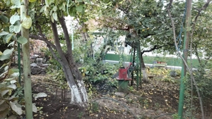 Teren Intravilan 580mp unic pe Strada Dantelei - imagine 8