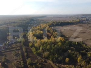 Proprietate de vanzare, 1000 mp, sat Gârleni - imagine 6
