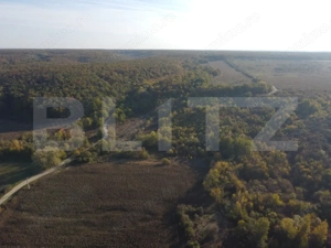 Proprietate de vanzare, 1000 mp, sat Gârleni - imagine 7
