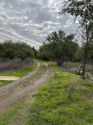 Vanzare Teren  intravilan 2600mp Ganeasa  - imagine 5