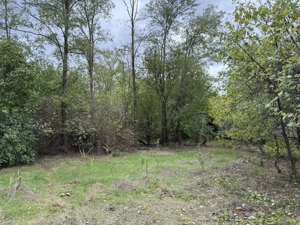 Teren intravilan Sat Cunesti ,Călărași - imagine 5