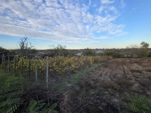 Teren intravilan Tulcea , Nalbant. - imagine 4