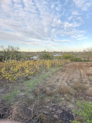 Teren intravilan Tulcea , Nalbant. - imagine 10