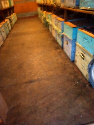 Camion apicol 6900  impozit 0 - imagine 5