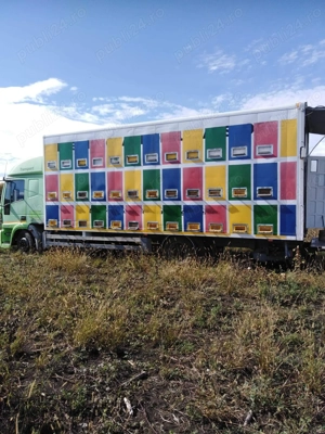 Camion apicol 6900  impozit 0 - imagine 7