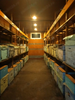 Camion apicol 6900  impozit 0 - imagine 8