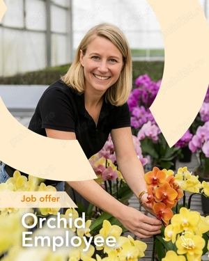 Locuri de munca in sere de flori - Olanda - imagine 3