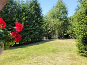 Cabana Prai( Bucin) - imagine 5