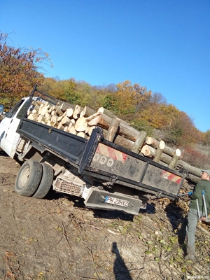 vand lemne de foc esență tare stejar transport in județul Prahova Nr de te  