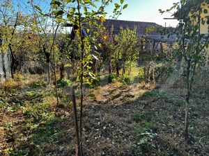 Casă primitoare, ideală pentru familie sau mică afacere - imagine 8