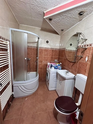 Bocsa Romana, Apt. 2 cam. Central - imagine 8