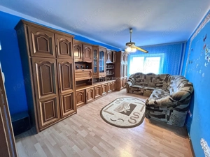 Bocsa Romana, Apt. 2 cam. Central - imagine 3