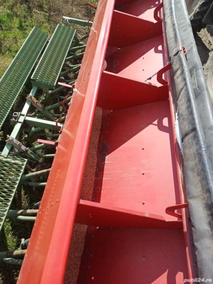 Semanatoare păioase  - imagine 3