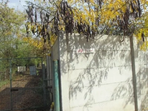 Mogosoaia Str Ariei  - imagine 8