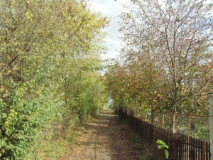 Mogosoaia Str Ariei  - imagine 6