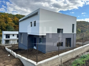 Casa Individuala finalizata, 2 garaje. zona Roata Faget - imagine 6