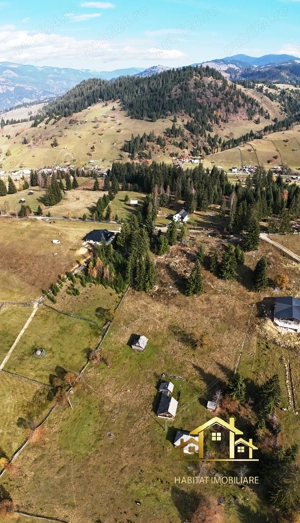 teren 8785 mp intravilan in Cozănești,comuna Dorna Arini, la 9 km de Vatra Dornei.  - imagine 4