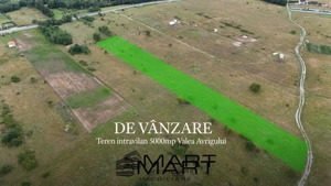 Teren intravilan 5000mp Valea Avrigului