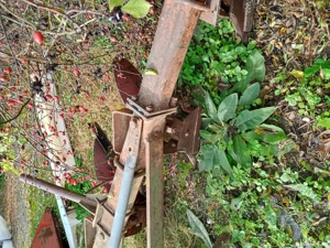 Vand plug romanesc pp3 - imagine 3