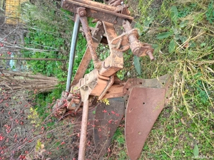 Vand plug romanesc pp3 - imagine 4