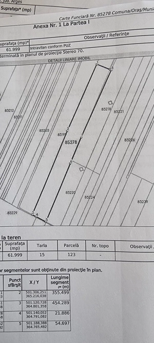 Vand teren curti-constructii, Cateasca, la drumul judetean, 65000 mp - imagine 7