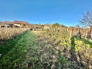 De Vanzare , TEREN in suprafata de 1900 mp , cu CASA BATRANEASCA  - imagine 4 De Vanzare , TEREN in suprafata de 1900 mp , cu CASA BATRANEASCA  - imagine 4