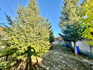 De Vanzare , TEREN in suprafata de 1900 mp , cu CASA BATRANEASCA  - imagine 7 De Vanzare , TEREN in suprafata de 1900 mp , cu CASA BATRANEASCA  - imagine 7