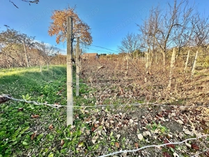 De Vanzare , TEREN in suprafata de 1900 mp , cu CASA BATRANEASCA  - imagine 9 De Vanzare , TEREN in suprafata de 1900 mp , cu CASA BATRANEASCA  - imagine 9